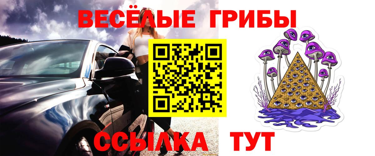Псилоцибиновые грибы мухоморы  Галлюциногенные грибы GOLDEN TEACHER  купить наркотик  Тимашёвск  Вход с VPN 