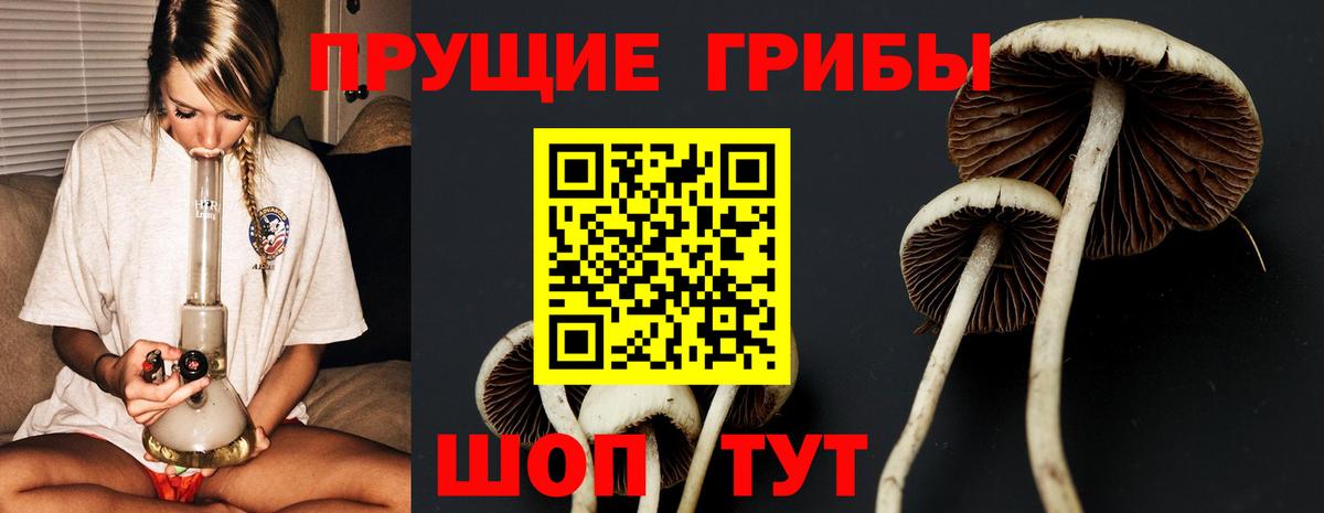 Псилоцибиновые грибы Magic Shrooms Тимашёвск